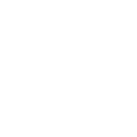 Small Durpul Logo White